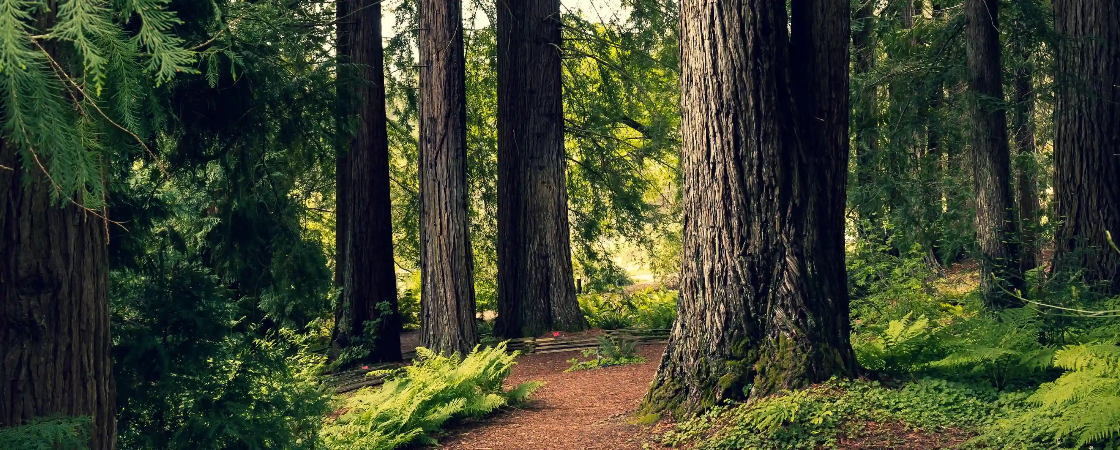 Flooring Collections International Flooring Company